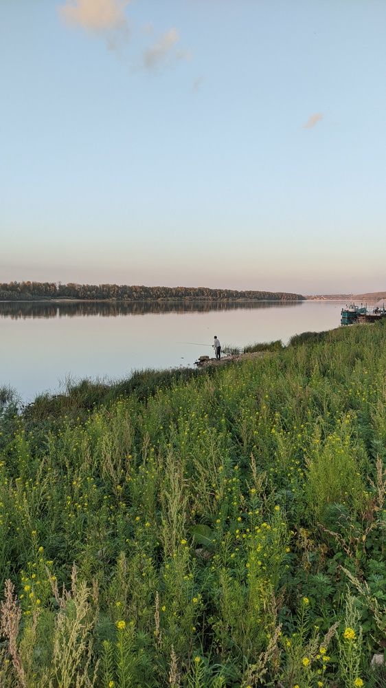 Фотография автора Васильева Ирина