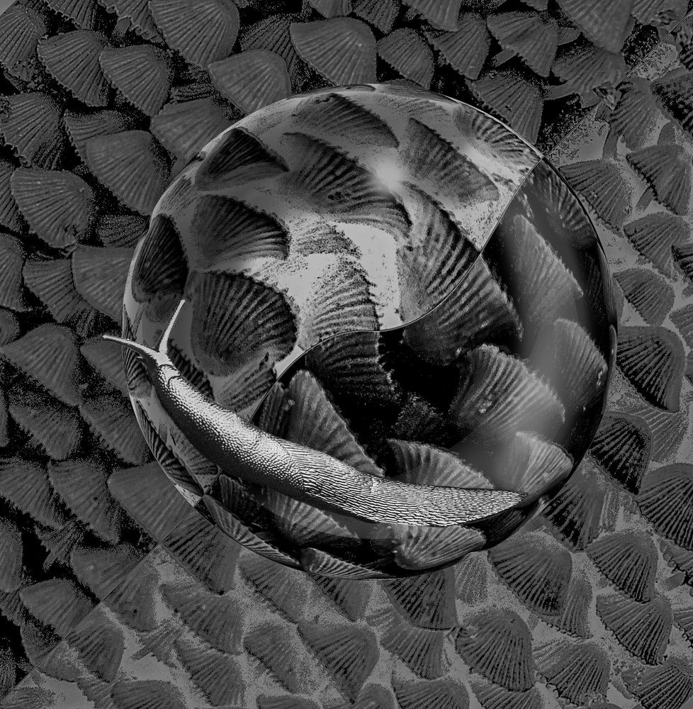 Photograph by Савчук Сергей