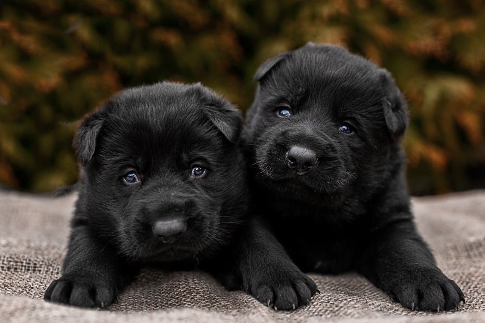 Photograph by марина леоненко