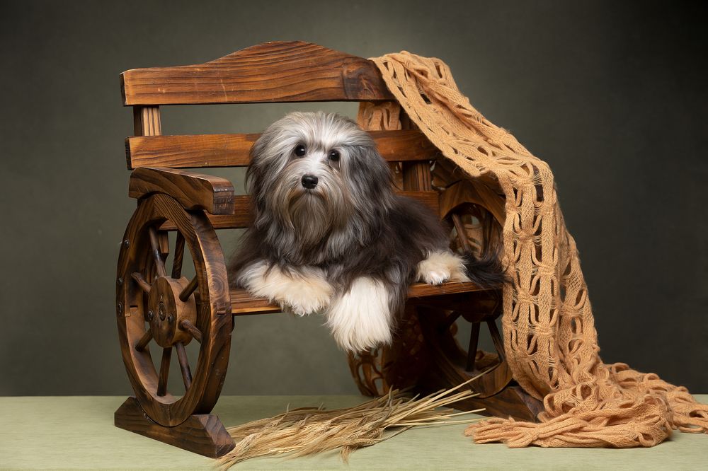 Photograph by Антон Базылевич