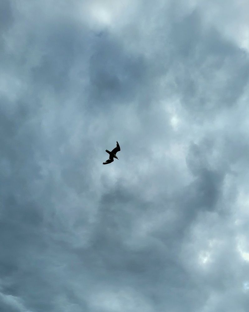 Photograph by Dmitrij Zykunov