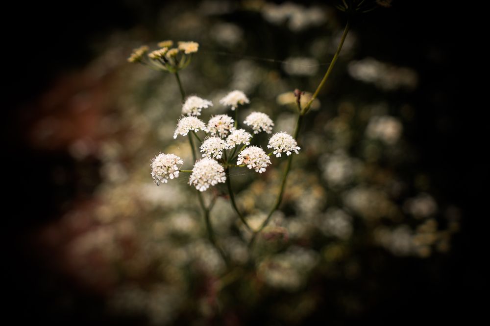 Photograph by Marwa Mohamed Mostafa