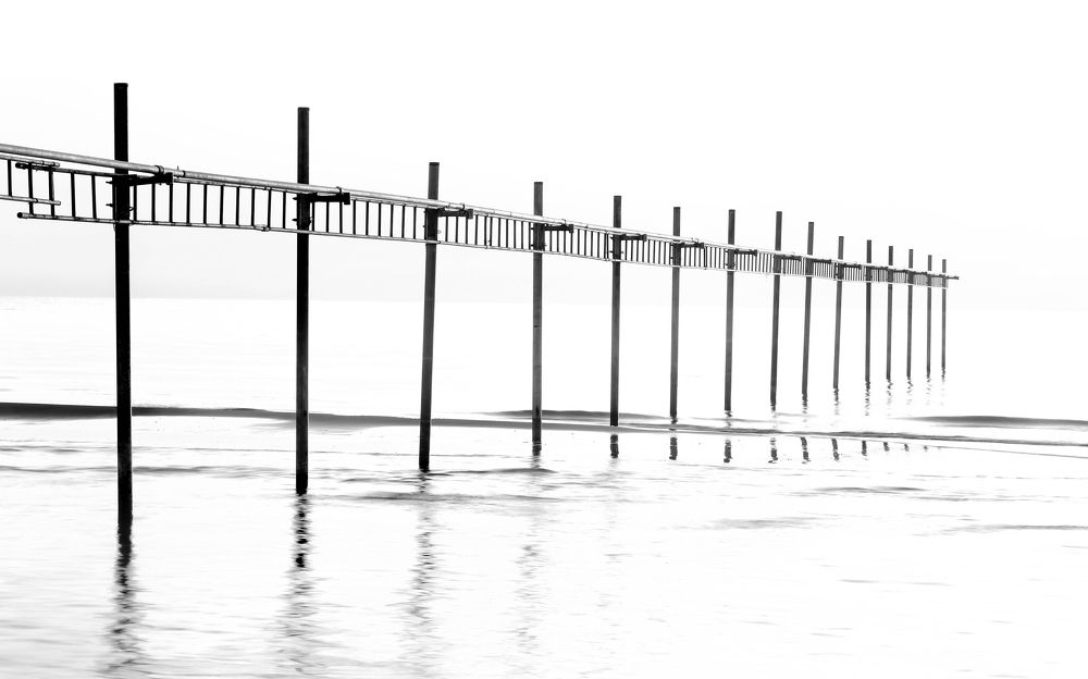 Фотография автора farshad shahani