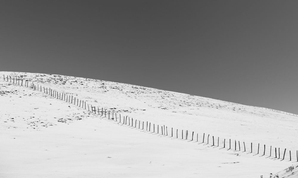 Фотография автора farshad shahani