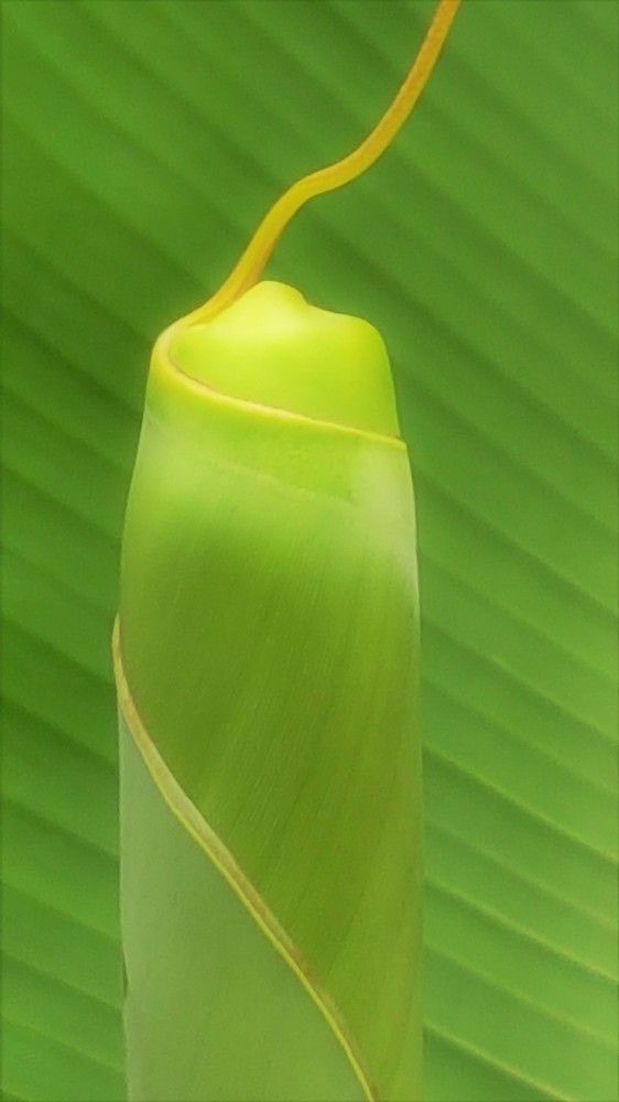 Фотография автора Ася Бабушкина