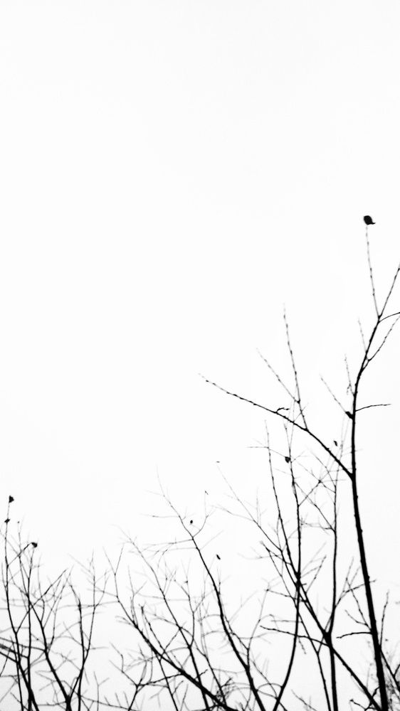 Фотография автора Евгения Зайцева