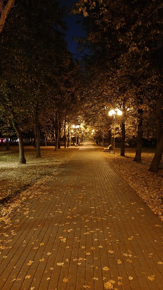 Photo #9623882
