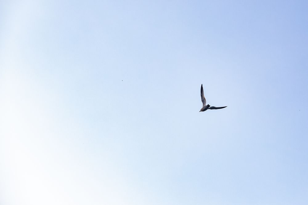Photograph by Алеся Пчёлкина