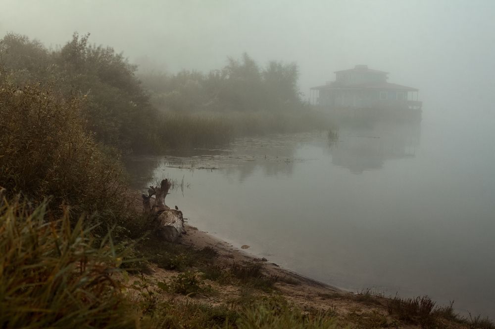 Photograph by Елизавета Седова