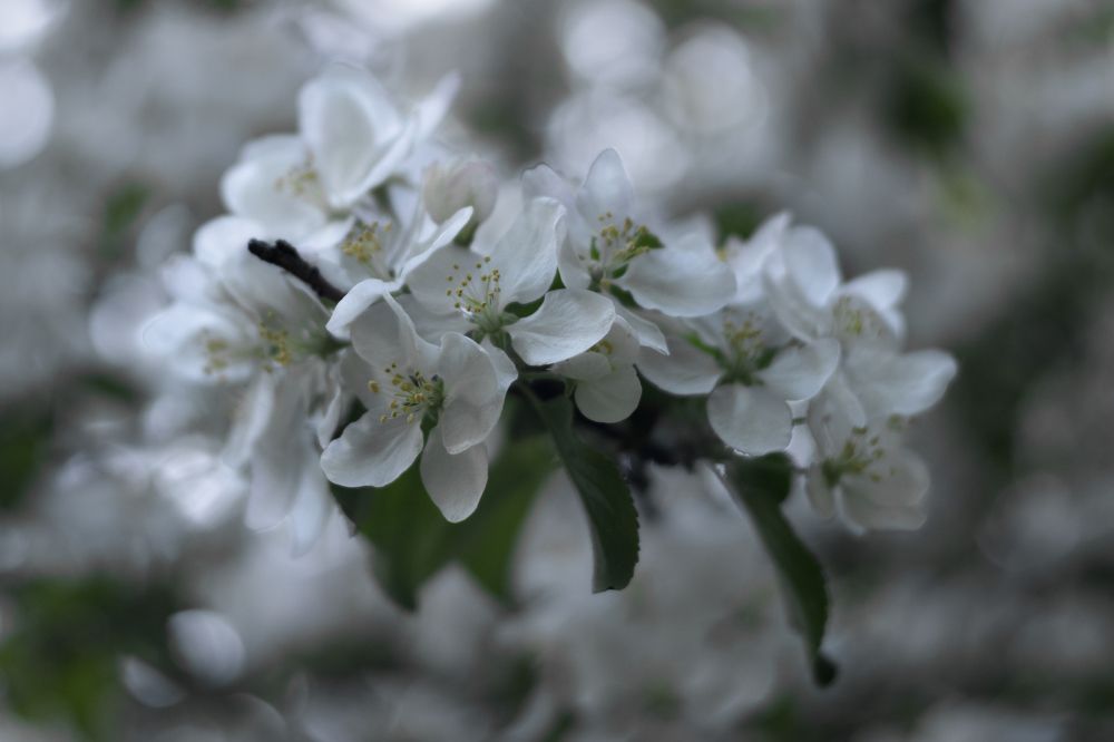 Photograph by Елена Амозова