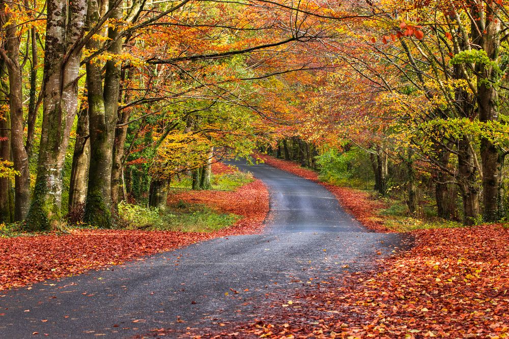 Photograph by Petrov Ivaylo