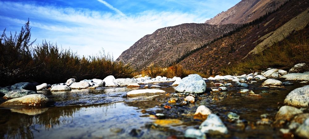 Photograph by Курлова Анна