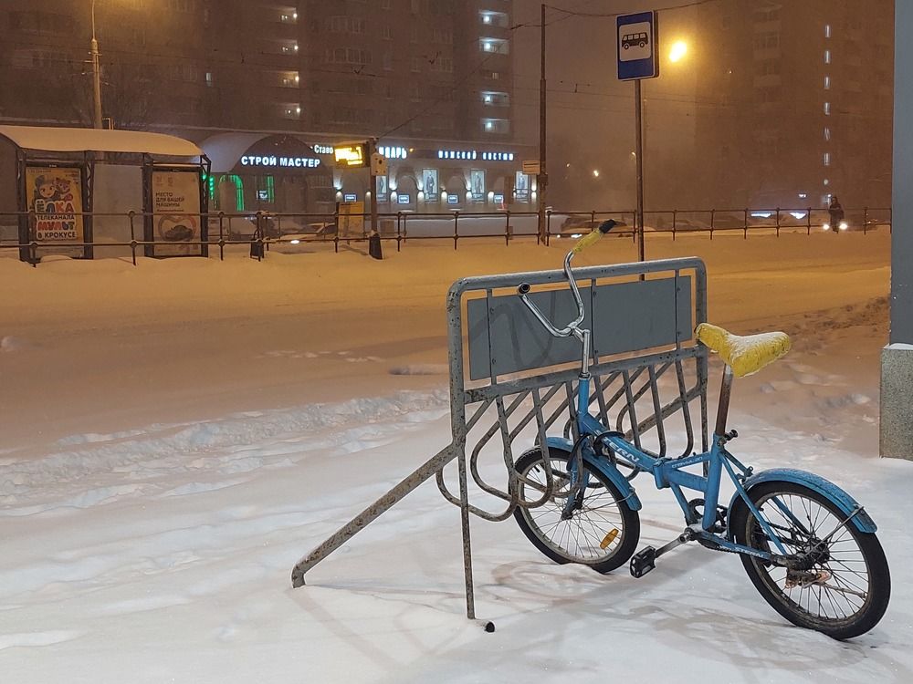 Фотография автора Мария Коледа