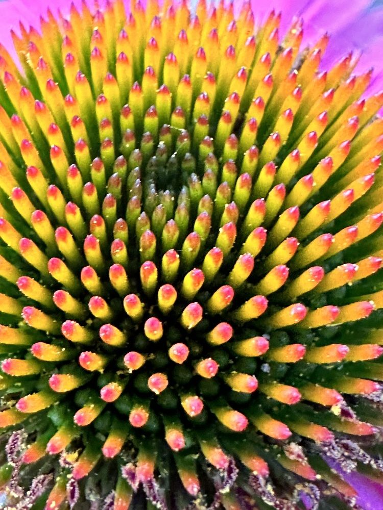 Photograph by Лариса Акинчиц