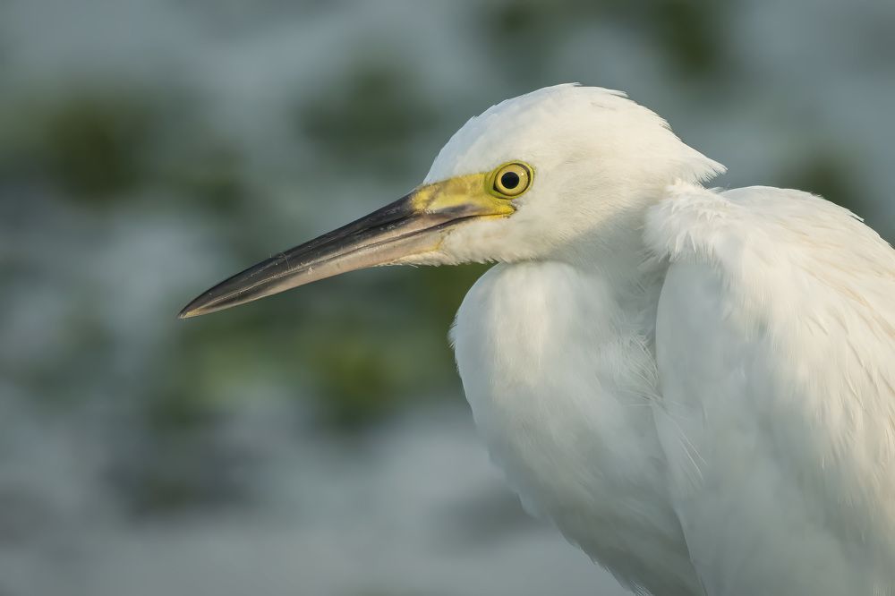 Фотография автора Erik Nelson