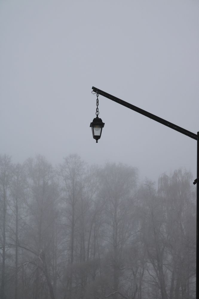 Photograph by Светлана Шуткова