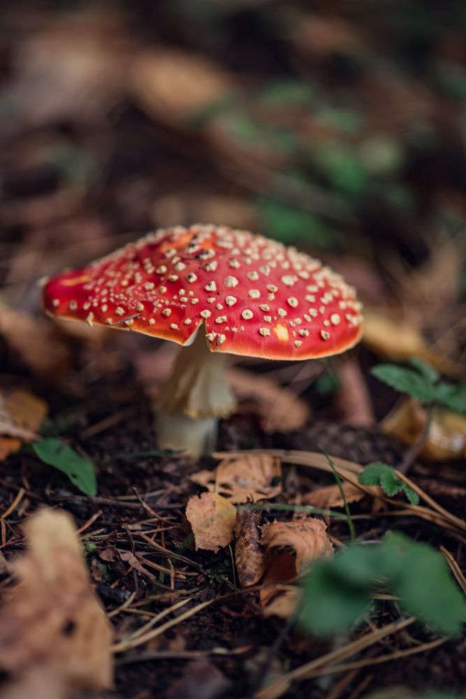 Photograph by Мария Путинцева