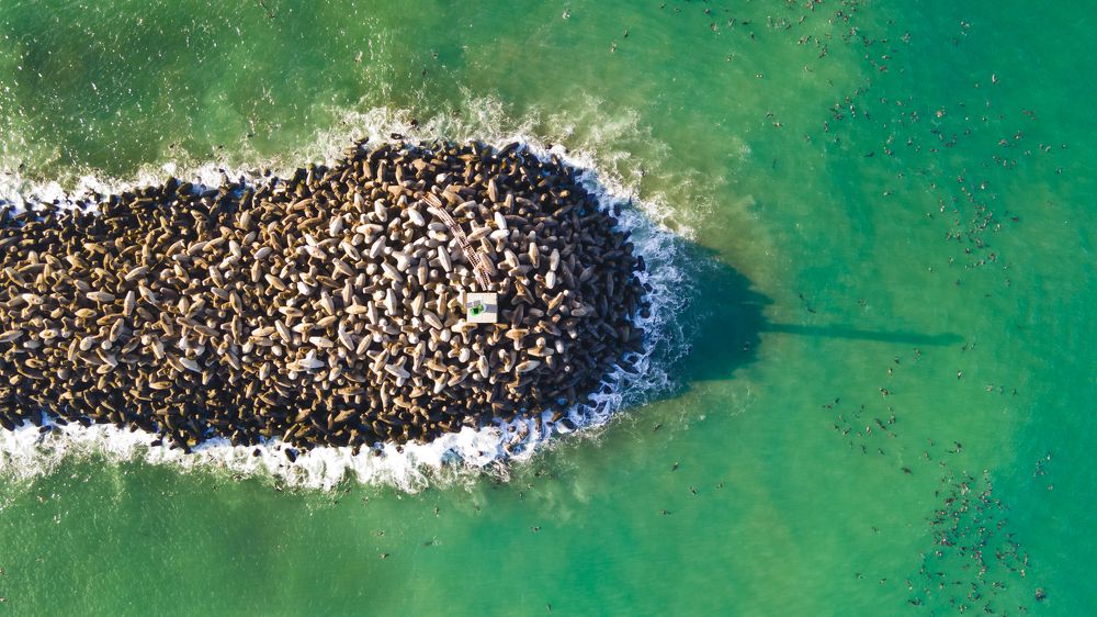 Photograph by FRANCISCO GARCIA NOSEI