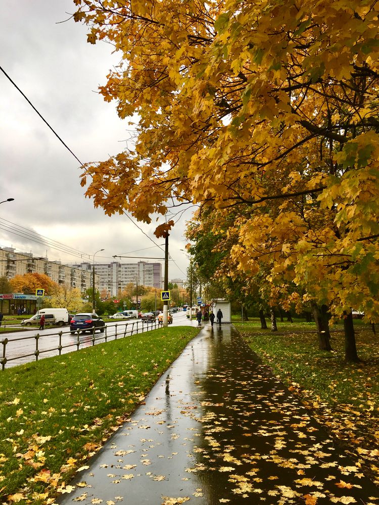 Photograph by Елена Макуха