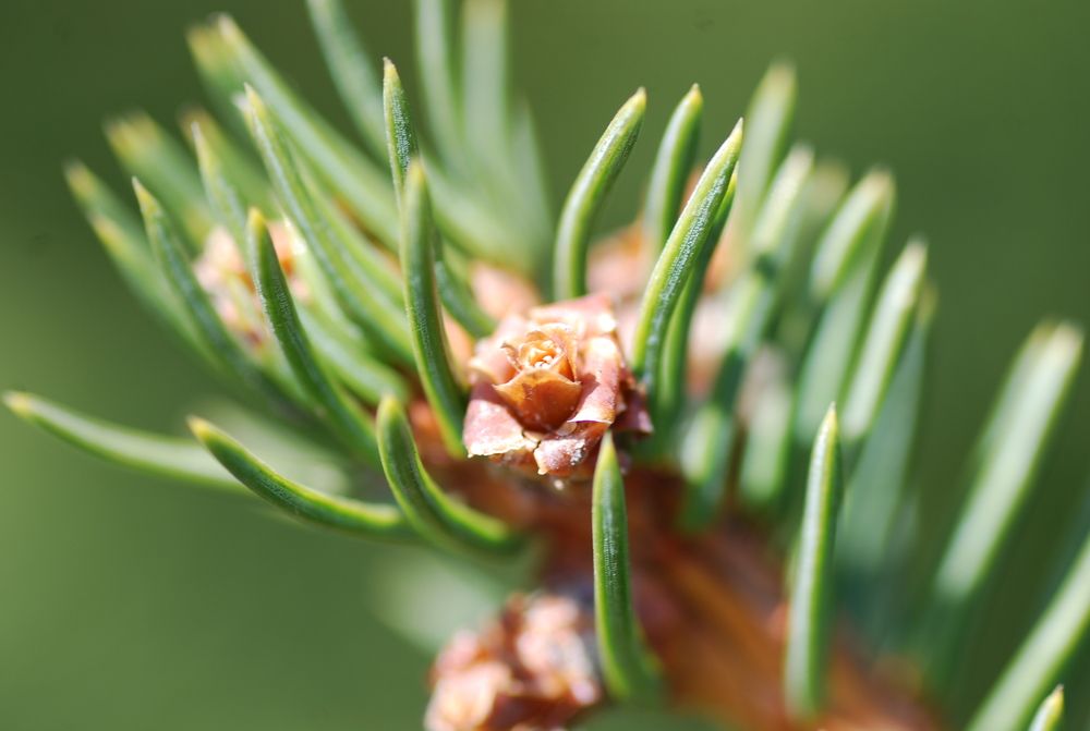 Photograph by Оксана Трофименко