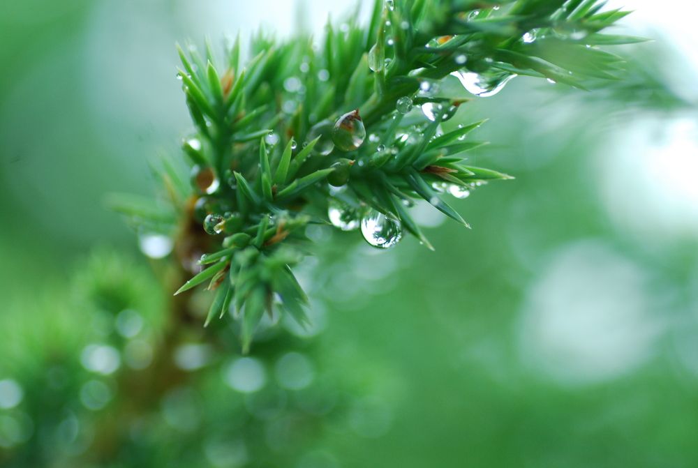 Photograph by Оксана Трофименко