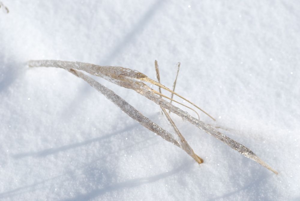 Photograph by Оксана Трофименко