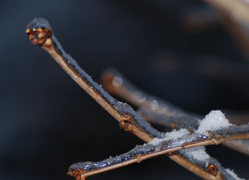 Photograph by Оксана Трофименко