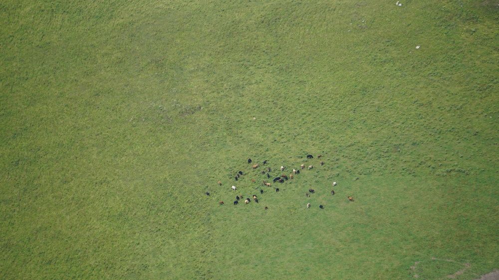 Photograph by Оксана Трофименко