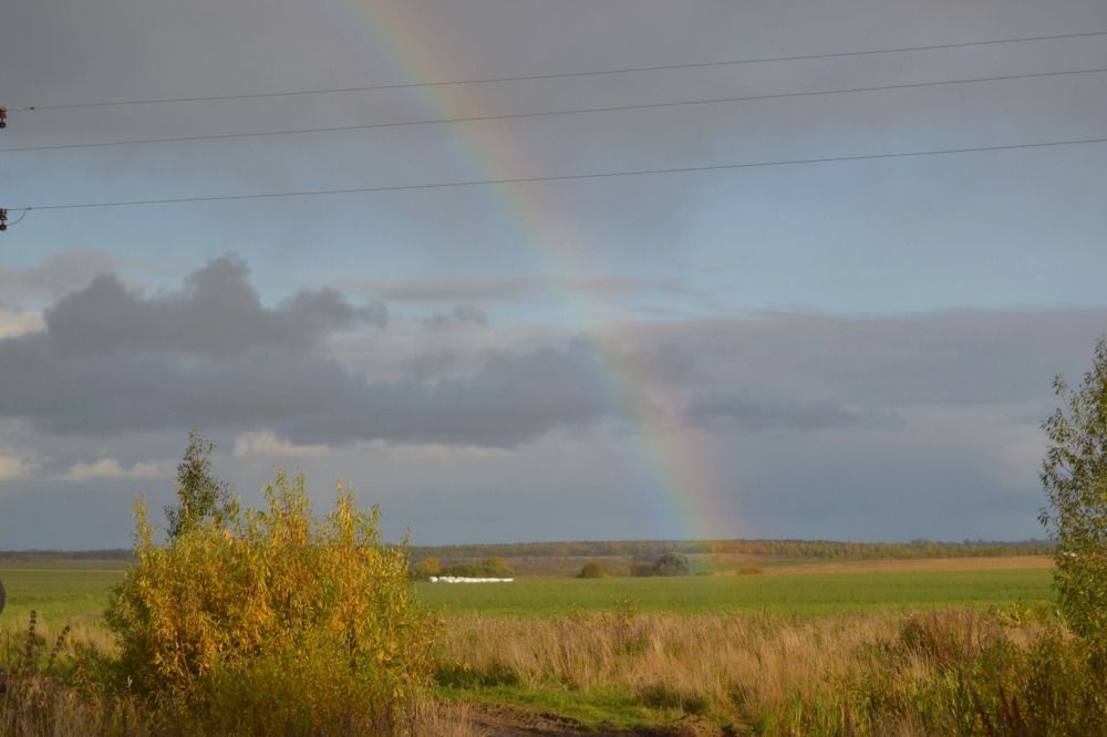 Photograph by Елизавета