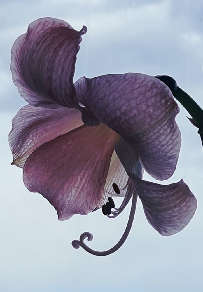 Photograph by Александра Дмитриева