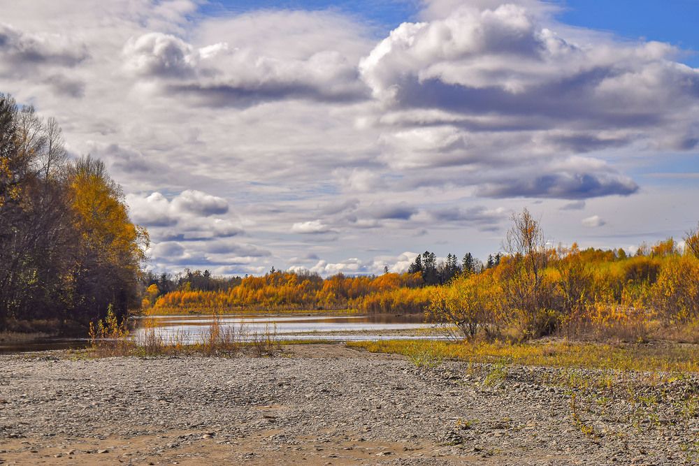 Золотая осень