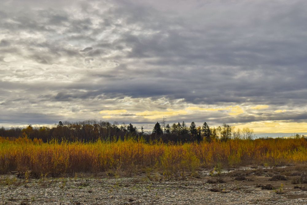Манят осенние пейзажи