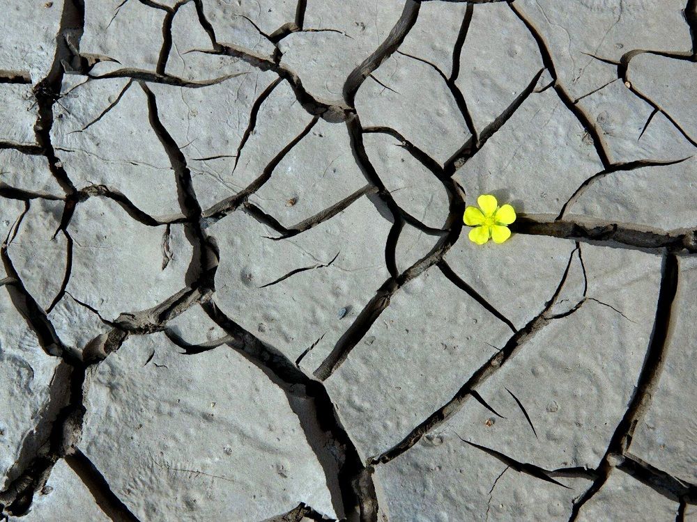 Засуха и жизнь.