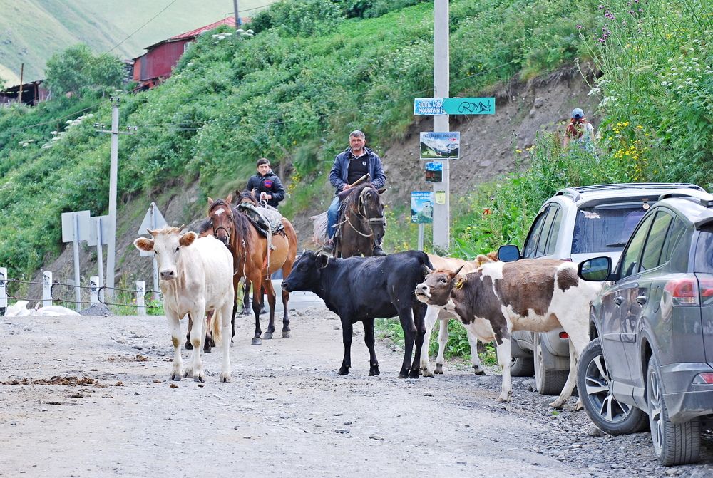 Photograph by Оксана Трофименко