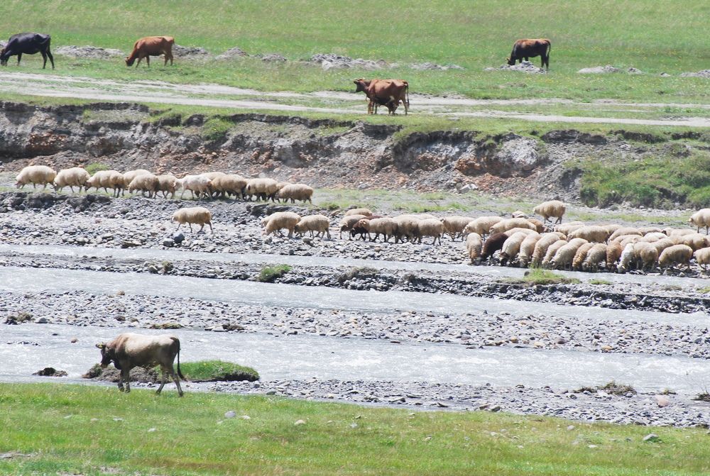 Photograph by Оксана Трофименко