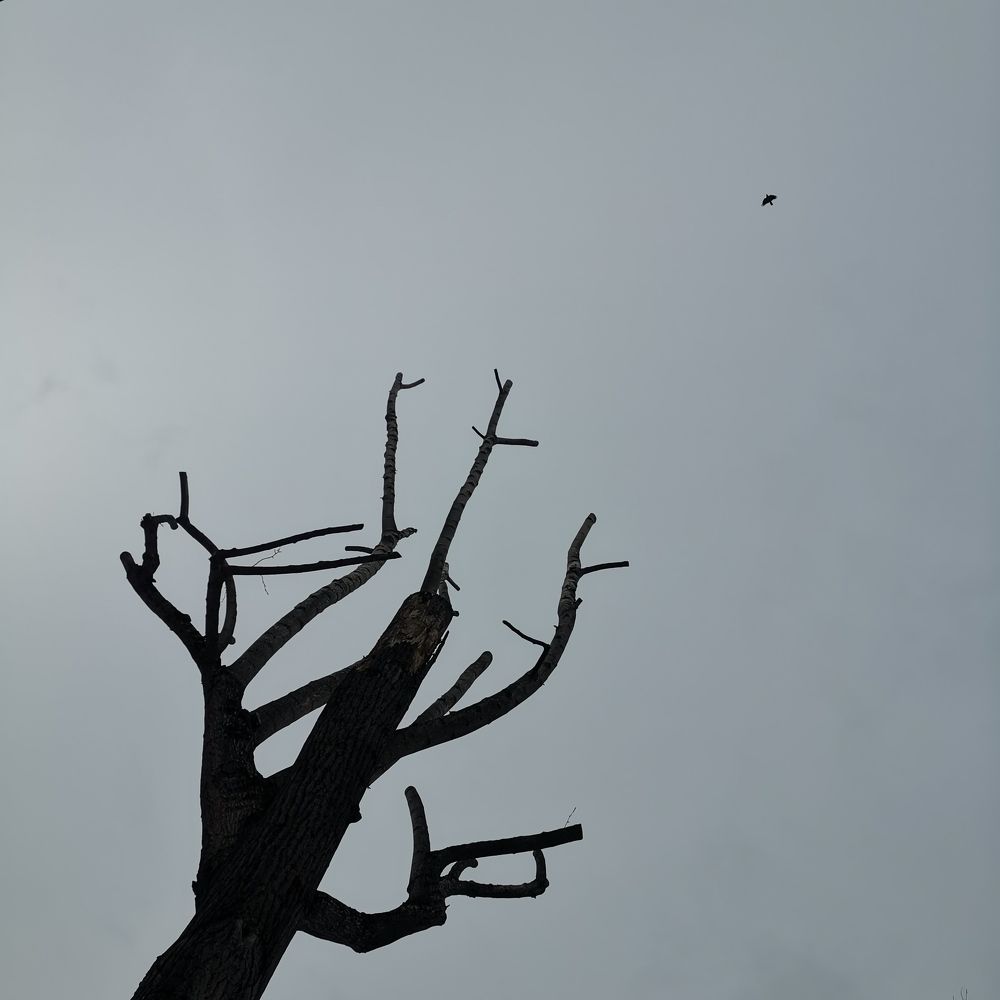 Photograph by Григ Маргарита