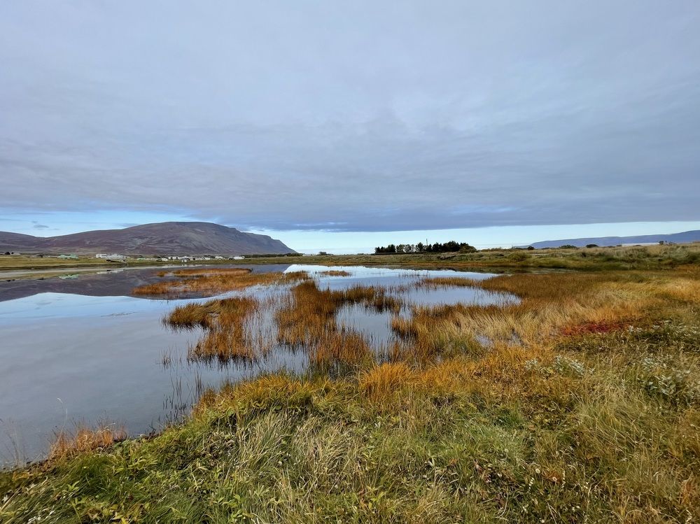 Autumn in Áshildarvatn in Iceland.