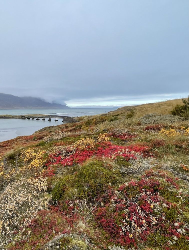Photograph by Helga Guðjónsdóttir