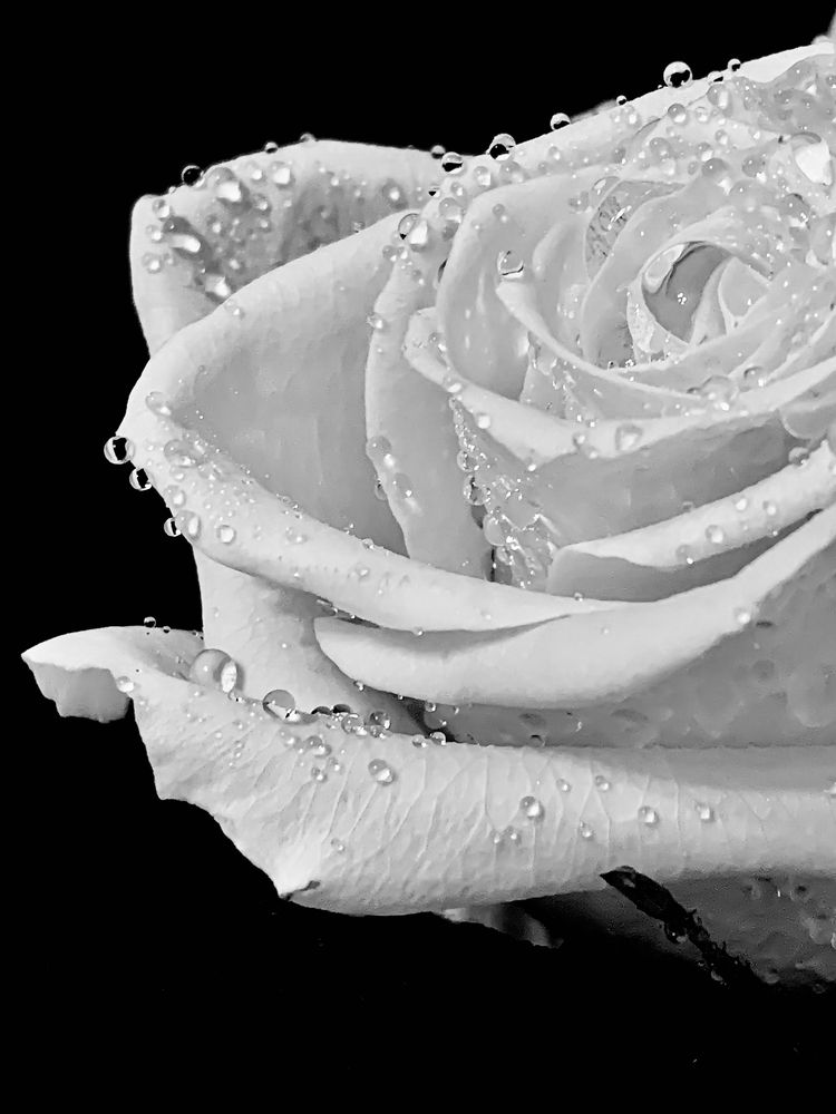 Photograph by Елена Макуха