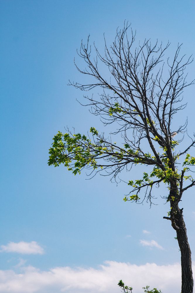 Photograph by Екатерина Максимова