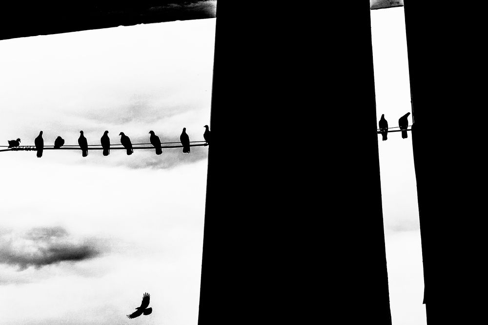 Photograph by Debayan Das