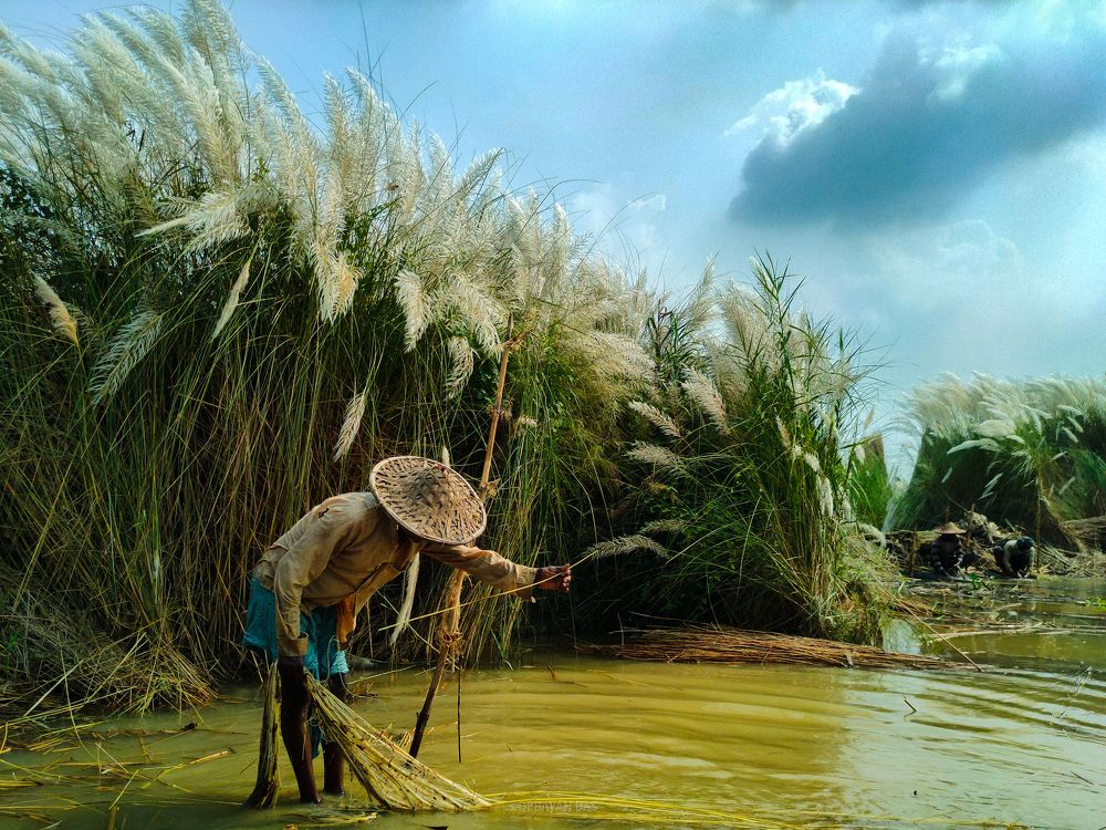 Photograph by Debayan Das