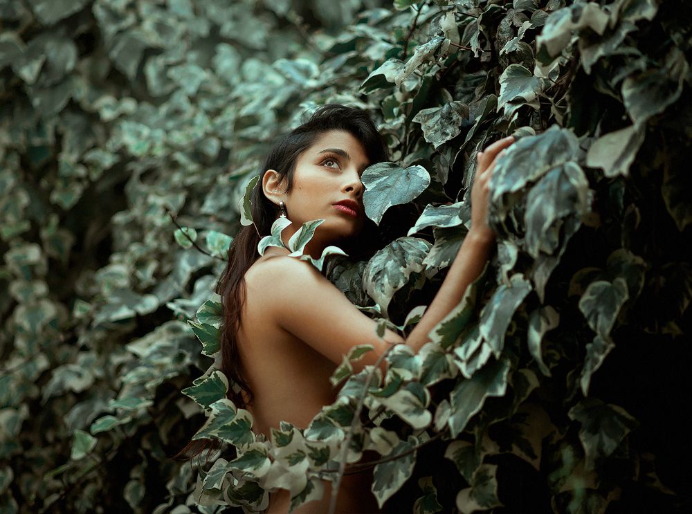 Фотография автора Iris Karina