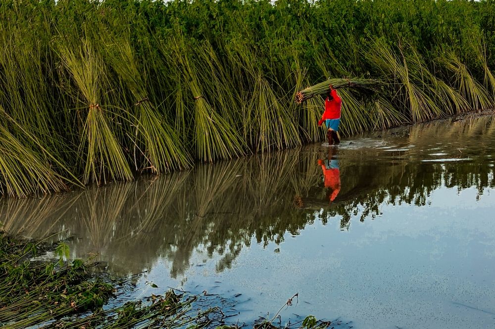 Photograph by Debayan Das