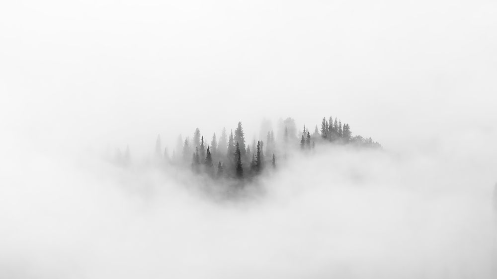 Photograph by 喻 子俊