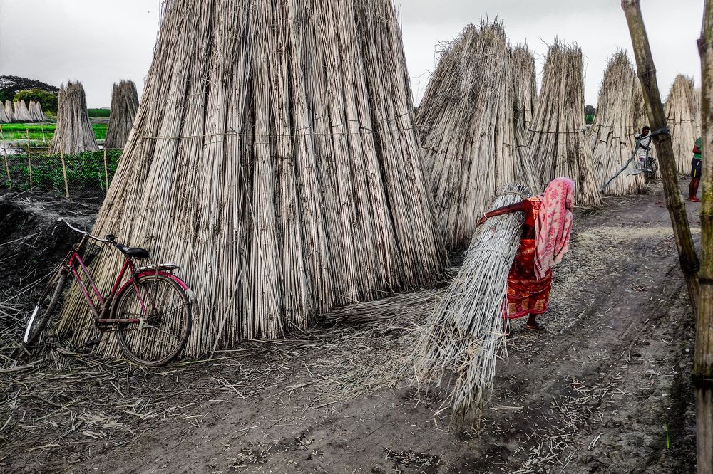 Photograph by Debayan Das