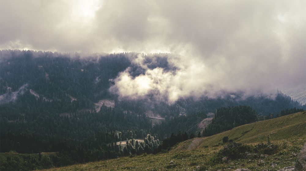 Photograph by Karpenko Denis