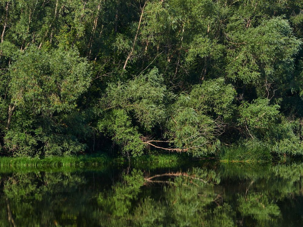 Photograph by Vyacheslav Bashirov