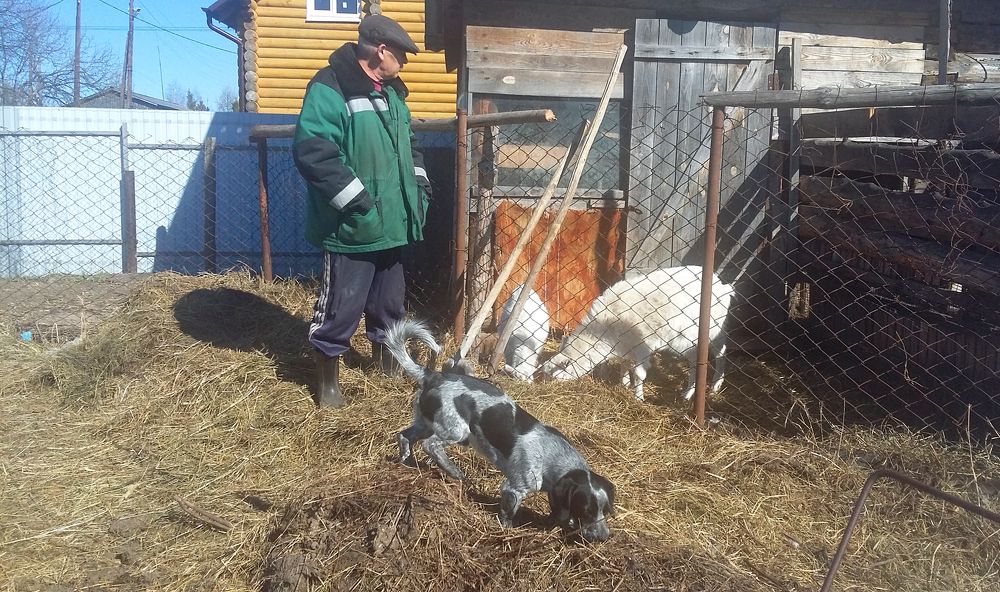 Photograph by Людмила Федорчак