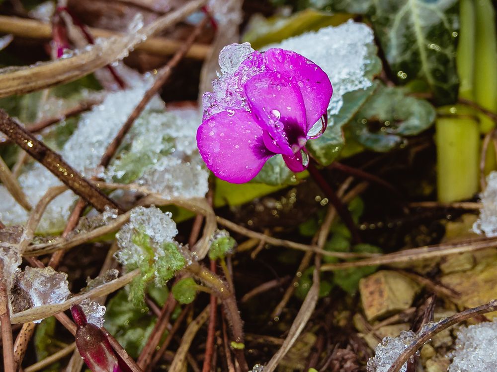 Photograph by Виталий Шкадинов